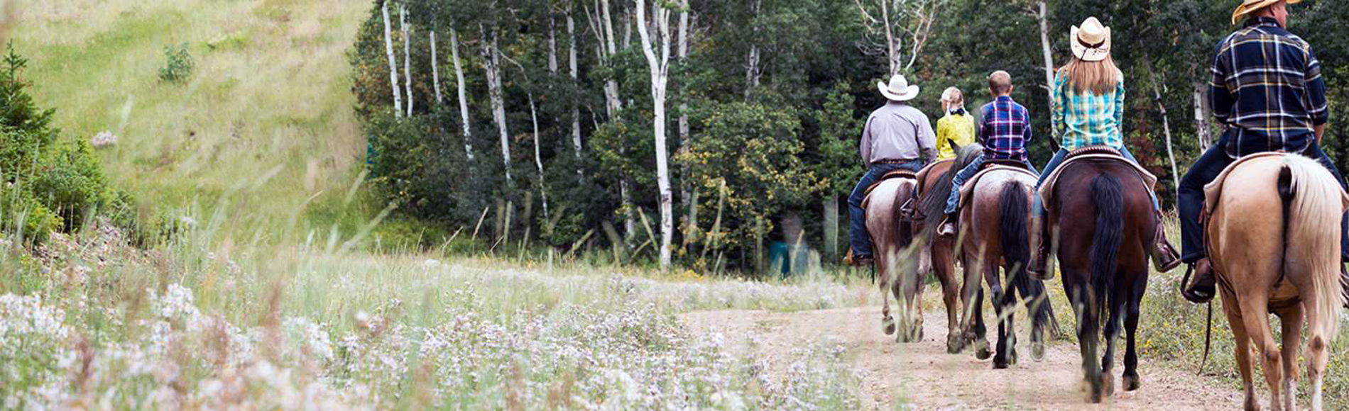 Horseback riding San Diego Mountains
